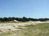 Green's Bay Dunes 2.jpg (60661 bytes)